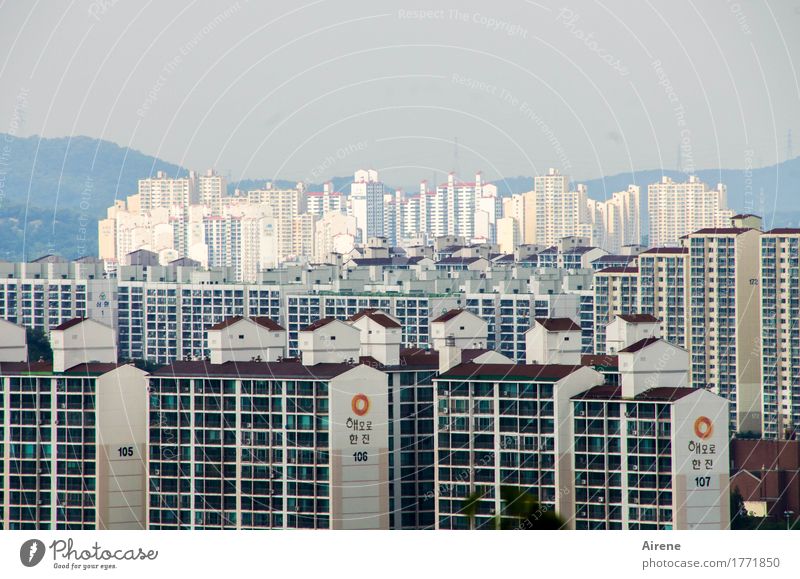 Beautiful view South Korea Asia Town Skyline House (Residential Structure) High-rise Settlement Facade Concrete Glass Sign Characters Digits and numbers