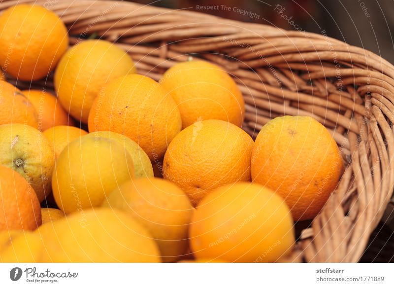 Fresh oranges in a fruit basket Food Fruit Orange Nutrition Breakfast Picnic Organic produce Vegetarian diet Diet Healthy Wellness Life Plant Yellow Gold