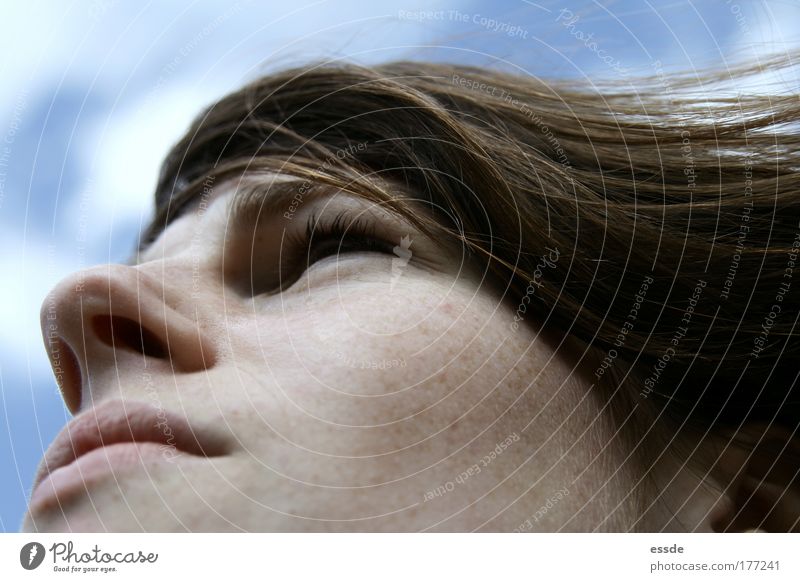storm-thinking Colour photo Exterior shot Detail Central perspective Looking away Feminine Young woman Youth (Young adults) Head Hair and hairstyles Face Nose