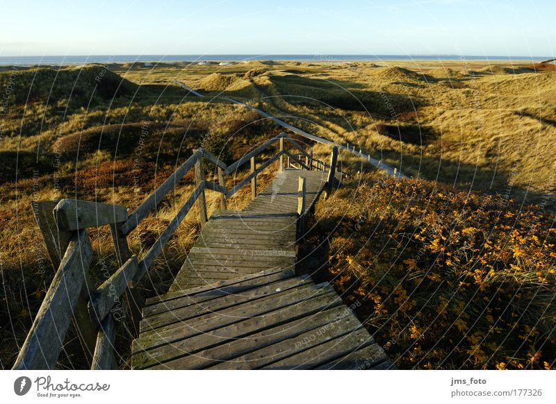 The staircase to the sea Colour photo Exterior shot Deserted Evening Shadow Deep depth of field Bird's-eye view Nature Landscape Sky Autumn Grass Hill Coast