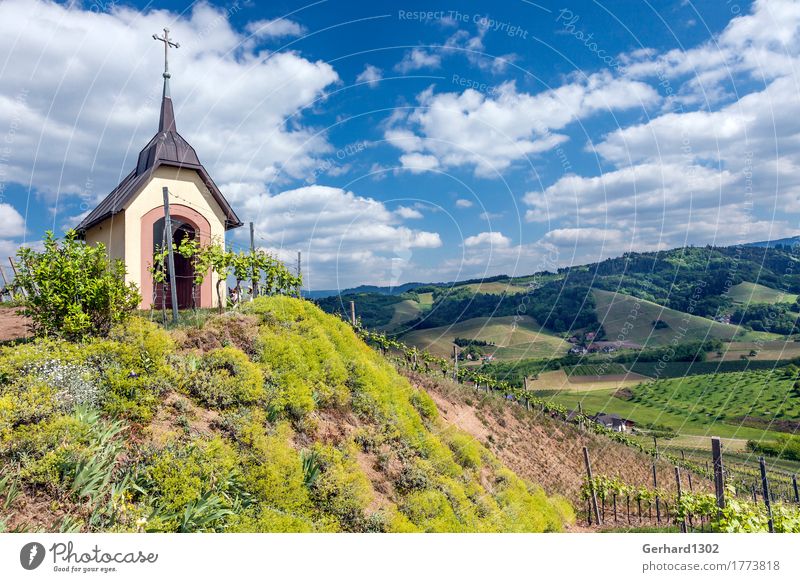 Marien chapel in the vineyard near Oberkirch in the Black Forest Vacation & Travel Tourism Trip Mountain Hiking Vine Relaxation Tradition Vineyard Ortenaukreis