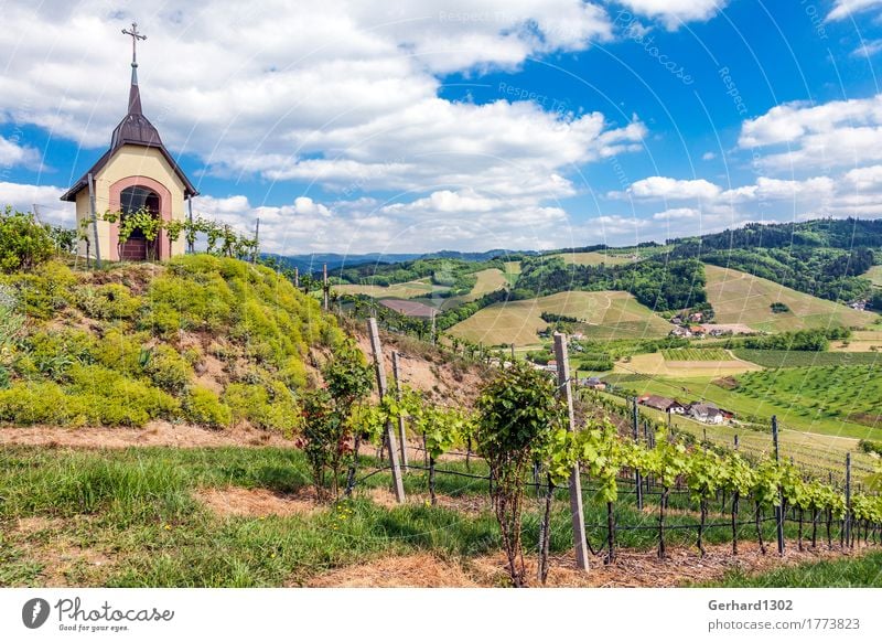 Marien chapel in the vineyard near Oberkirch, Ortenau, Black Forest Wine Vacation & Travel Tourism Trip Cycling tour Hiking Landscape Vine Vineyard Field