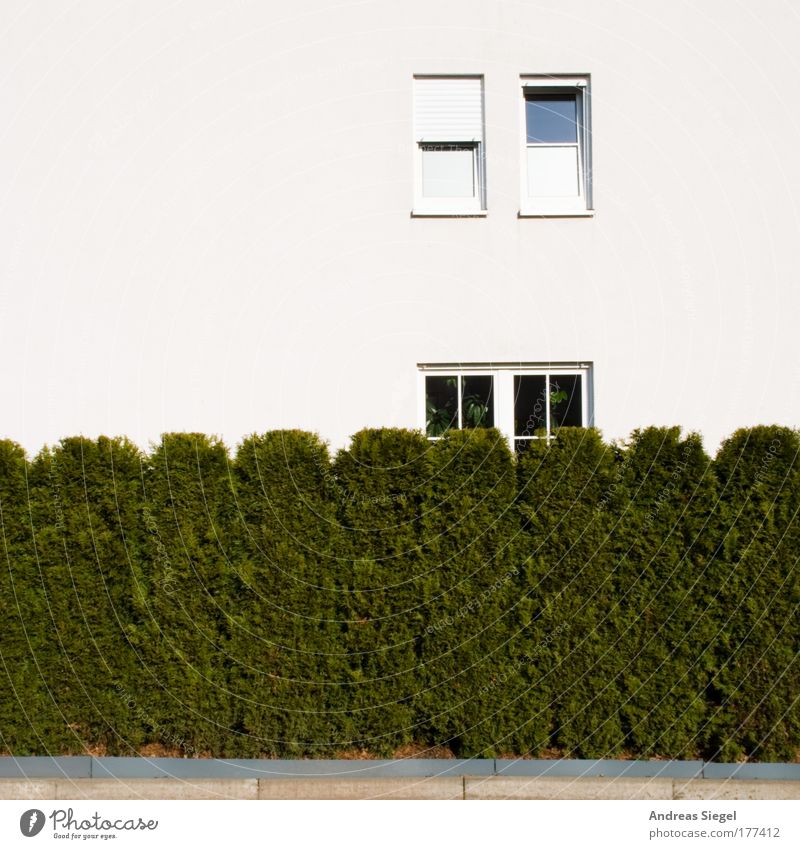 hedge window Colour photo Exterior shot Deserted Copy Space left Copy Space top Copy Space bottom Day Lifestyle Design Living or residing Flat (apartment)