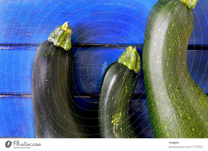 zucchini Colour photo Multicoloured Exterior shot Close-up Deserted Bird's-eye view Food Vegetable Nutrition Organic produce Vegetarian diet Slow food Zucchini