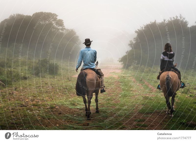 Music | is the clatter of hooves in my ears. Two riders in foggy landscape Ride Human being Masculine Feminine Young woman Youth (Young adults) Young man 2