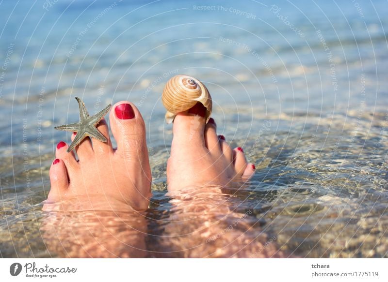 Summer Lifestyle Happy Beautiful Pedicure Relaxation Sun Beach Ocean Human being Girl Woman Adults Feet Sand Red water background Top Vantage point Barefoot