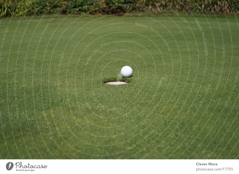 golf course #4 Golf ball Grass Green Places
