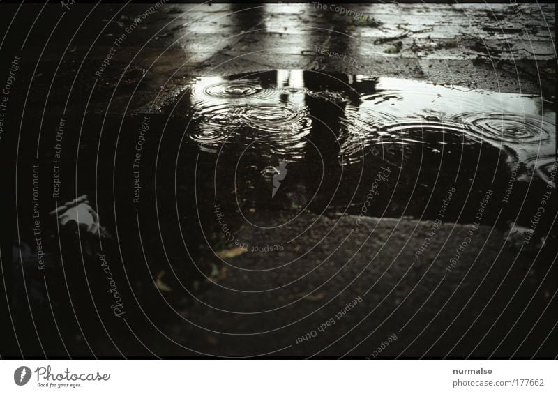 teariness of droplets Evening Twilight Silhouette Reflection Low-key Art Environment Water Drops of water Summer Bad weather Rain Places Courtyard Sidewalk