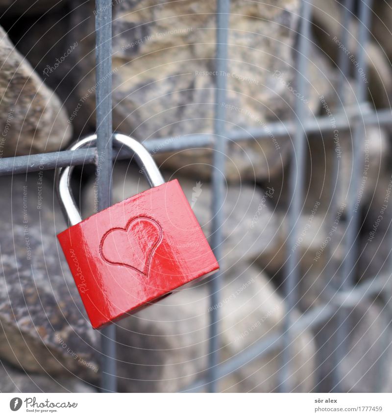 rotesschlossmitherzang lattice wall Lock Grating Wall (barrier) Stone Red Happy Happiness Spring fever Together Love Romance Infatuation Symbols and metaphors