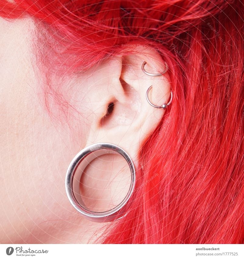 stretched earlobe piercing or Flesh Tunnel Lifestyle Beautiful Feminine Young woman Youth (Young adults) Woman Adults Ear Youth culture Subculture Fashion