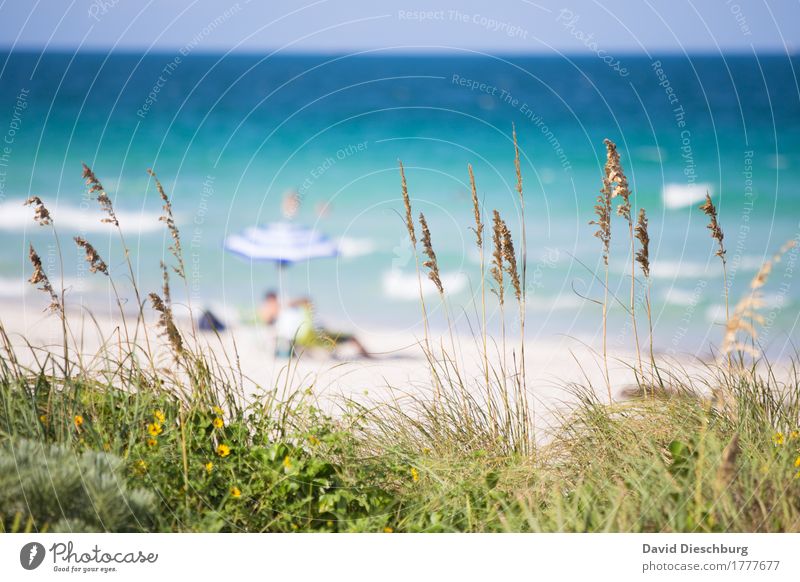 strandidylle Vacation & Travel Tourism Far-off places Summer Summer vacation Sun Sunbathing Beach Ocean Island Waves Human being 2 Landscape Cloudless sky