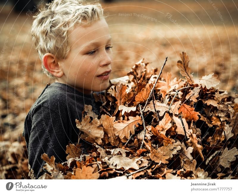 Boy lying in autumn leaves Thanksgiving Boy (child) Infancy 1 Human being 8 - 13 years Child Environment Nature Autumn Leaf Park Playing Illuminate Romp Blonde