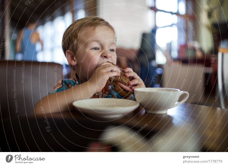 Little boy in a cafe eating big tasty sandwich. Hungry child Sausage Bread Breakfast Lunch Dinner Tea Child Boy (child) 1 Human being 1 - 3 years Toddler Blonde