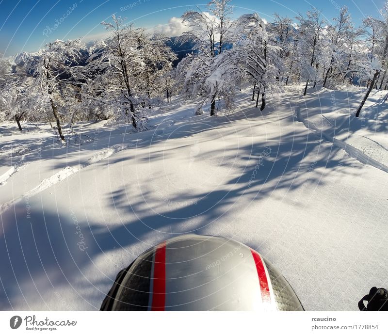 Skiing in fresh snow. POV using action cam on the helmet. Joy Beautiful Freedom Winter Snow Mountain Sports Human being Man Adults Nature Landscape Forest Alps