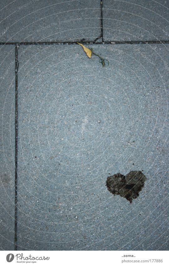 Heart in the right place Exterior shot Bird's-eye view Leaf Stone Concrete Sign Dirty Sharp-edged Simple Firm Gray Emotions Happy Spring fever Optimism Hope