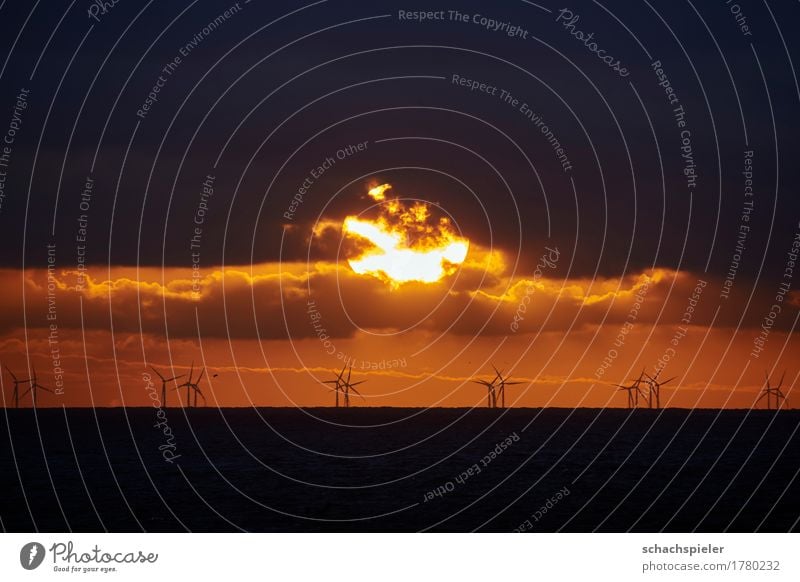 Sunset over offshore wind farm Energy industry Renewable energy Wind energy plant Nature Elements Water Sky Clouds Sunrise Ocean North Sea Island Sylt Romance