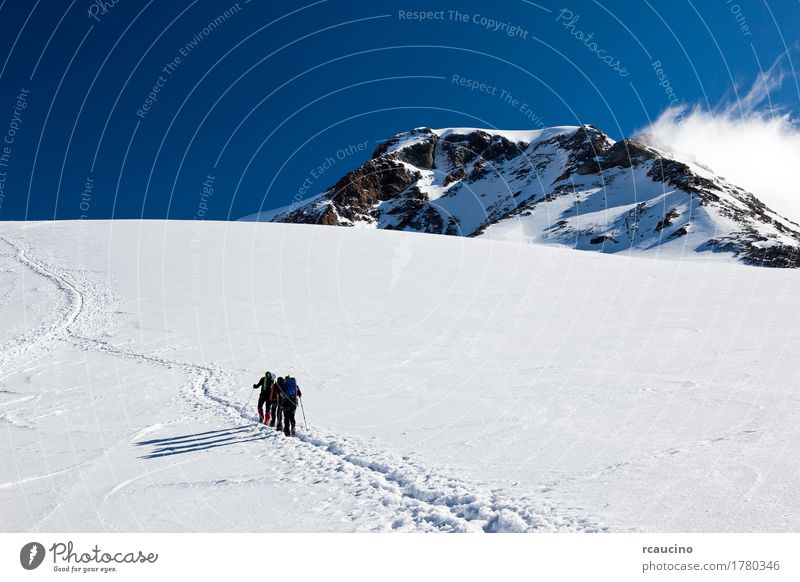 Mountaineers walking on Monte Rosa Glacier, Italy Vacation & Travel Adventure Expedition Winter Snow Sports Human being Group Nature Landscape Sky Clouds Blue