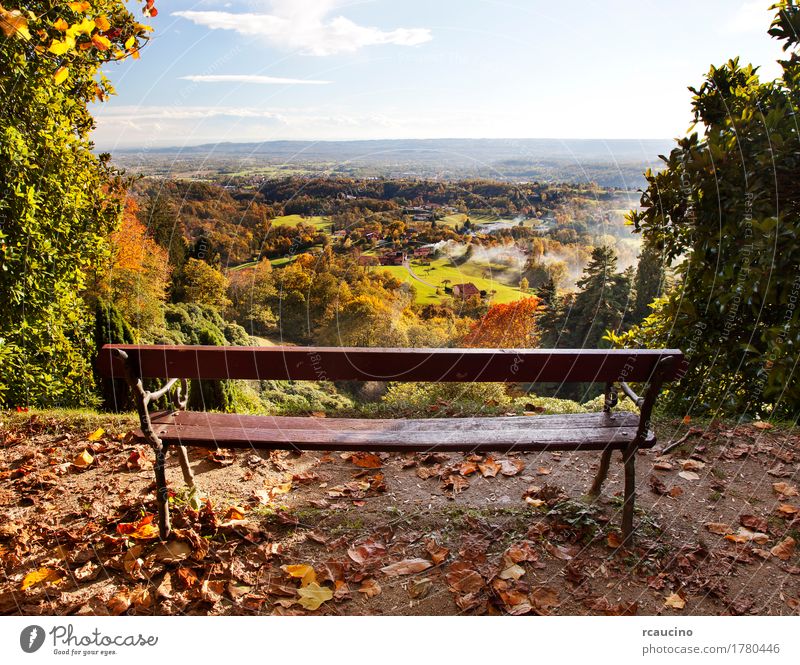 Bench in a park with views of the countryside in autumn season Summer Nature Landscape Plant Autumn Tree Forest Yellow Green colorful Horizontal many Wilderness