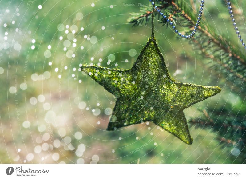 Shooting stars: green star with chain on the Christmas tree surrounded by many lights Feasts & Celebrations Christmas & Advent New Year's Eve Tree Foliage plant