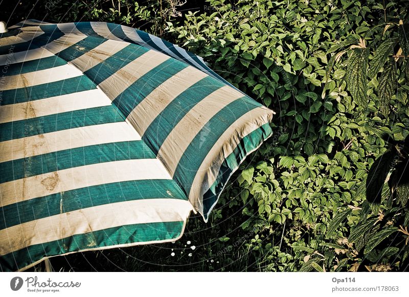 sun protection Colour photo Exterior shot Detail Pattern Structures and shapes Deserted Day Light Shadow Contrast Sunlight Sunbeam Forward Relaxation Calm