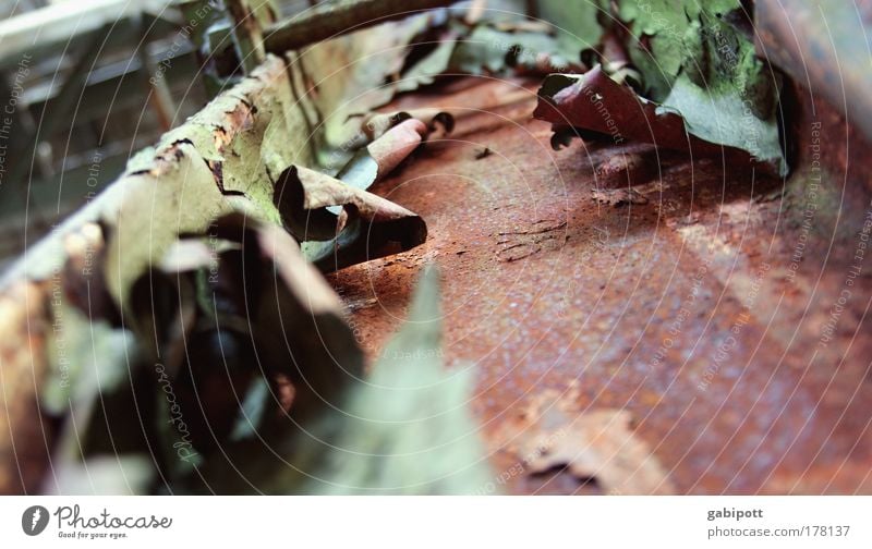 who rests rusts Colour photo Interior shot Close-up Detail Deserted Shallow depth of field Worm's-eye view Industrial plant Factory Ruin Steel Rust