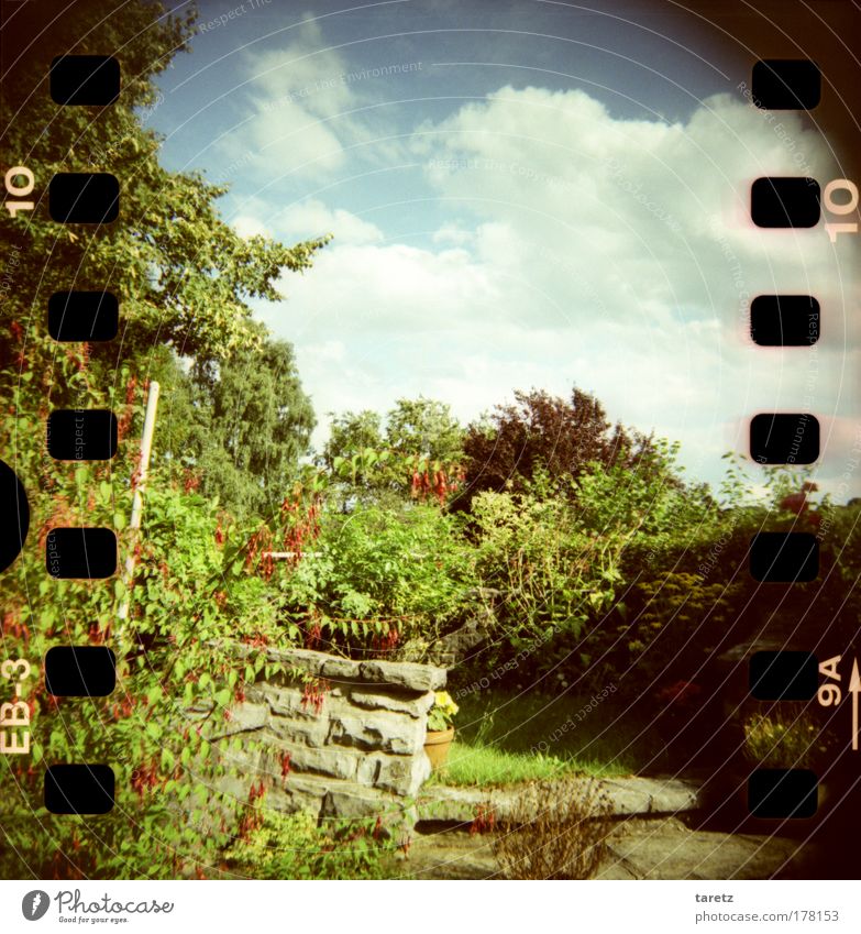 Summer on the terrace Colour photo Exterior shot Lomography Deserted Day Living or residing Flat (apartment) Garden Nature Plant Clouds Beautiful weather