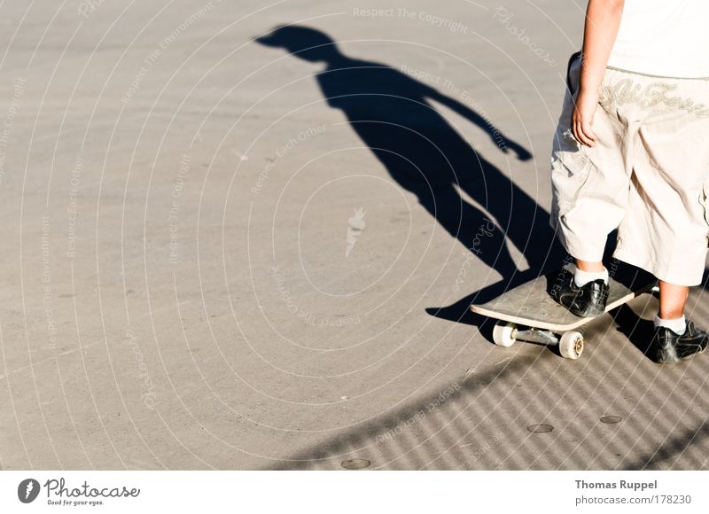 skateboarding Colour photo Subdued colour Exterior shot Copy Space left Copy Space bottom Day Shadow Silhouette Looking away Leisure and hobbies Skateboard
