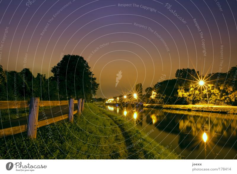 night idyll Colour photo Subdued colour Copy Space top Night Artificial light Long exposure Nature Night sky Tree Grass Meadow Port City Deserted