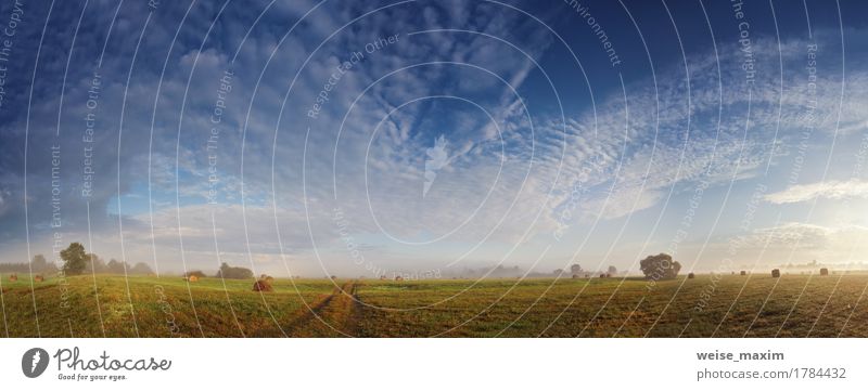 Foggy meadow in the autumn morning Vacation & Travel Summer Wallpaper Nature Landscape Sky Clouds Sunrise Sunset Autumn Tree Grass Bushes Meadow Lanes & trails