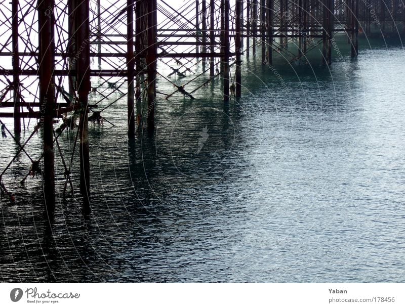 Brighton Pier Deserted Copy Space right Cure Tourism Trip Sightseeing Ocean Going out Clubbing Coast North Sea England Architecture Tourist Attraction Steel