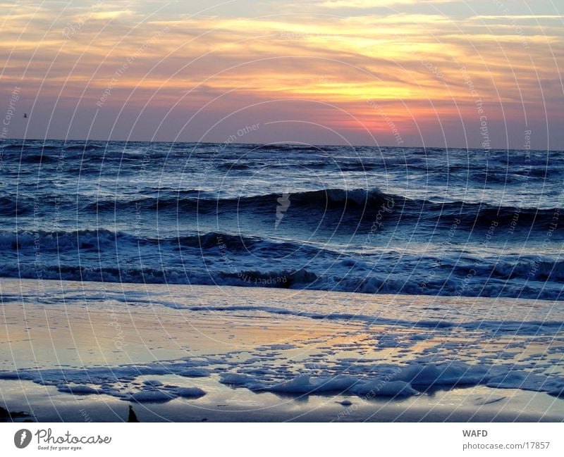 Day at the sea St. Peter-Ording Beach Waves Ocean Sunset North Sea