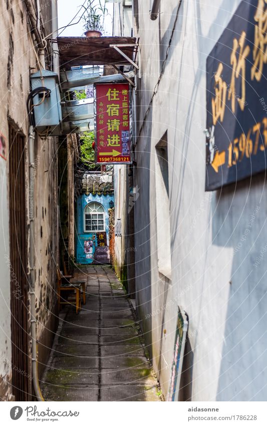 Xitang China Asia Fishing village Deserted House (Residential Structure) Architecture Tourist Attraction Vacation & Travel Dream Claustrophobia "old antique