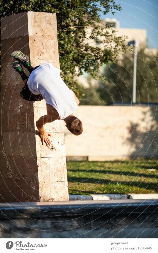 Young athlete showing skills of free running. Parkour trick with city wall Lifestyle Summer Sports Human being Man Adults Tree Town Street Running Movement Jump