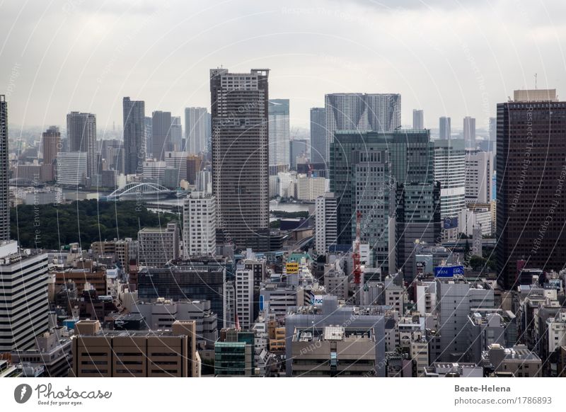 Tokyo's dizzying heights Lifestyle Shopping Luxury Living or residing Flat (apartment) Capital city Downtown High-rise Bank building Growth Exceptional
