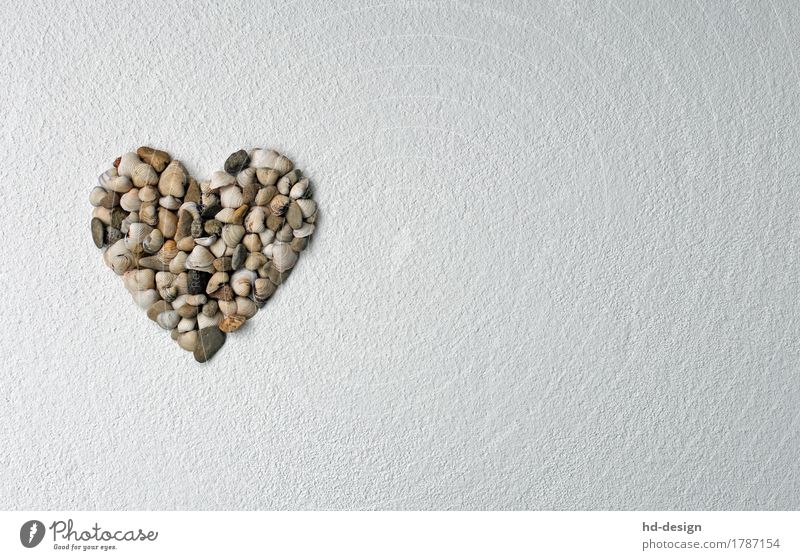 Heart of mussels Decoration Stone Sign Life Joie de vivre (Vitality) Love Mussel Plaster structural plaster Mother's Day Valentine's Day clam heart Pebble