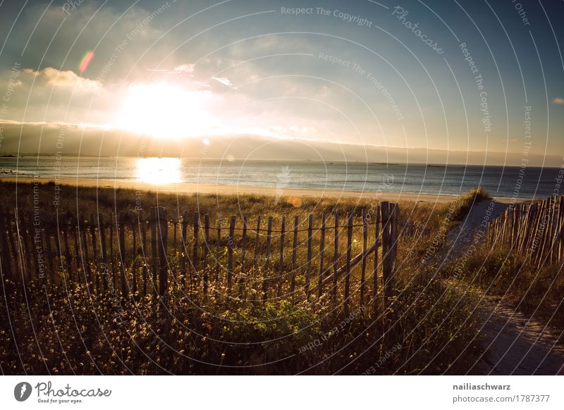 Sunset at the beach in Brittany Beach Ocean Nature Landscape Sunrise Sunlight Grass Atlantic Ocean Fence Infinity Natural Blue Yellow Moody