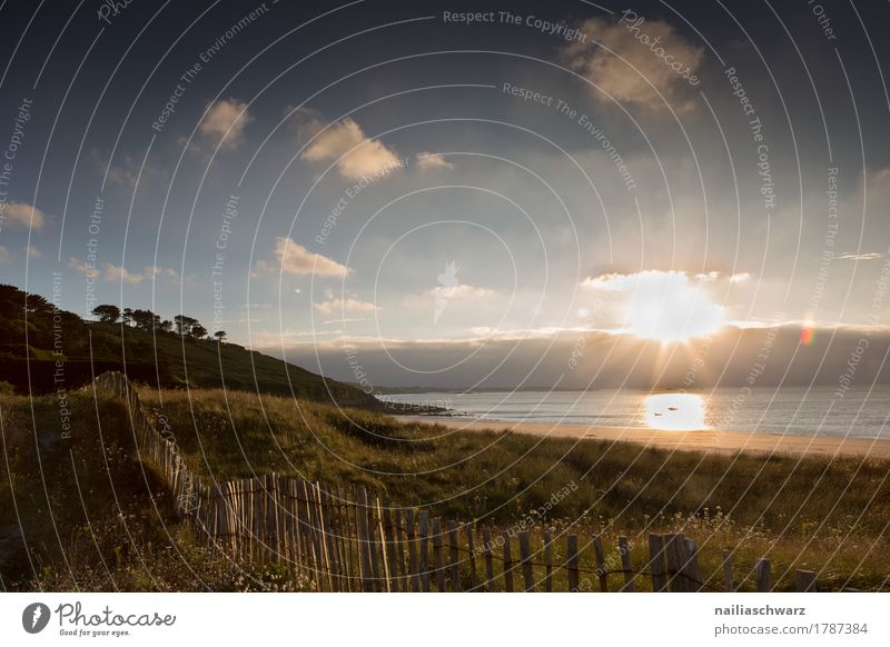 Sunset at the beach in Brittany Beach Ocean Nature Landscape Sunrise Sunlight Atlantic Ocean Moody Happy Romance Peaceful Purity Belief Vacation & Travel Hope