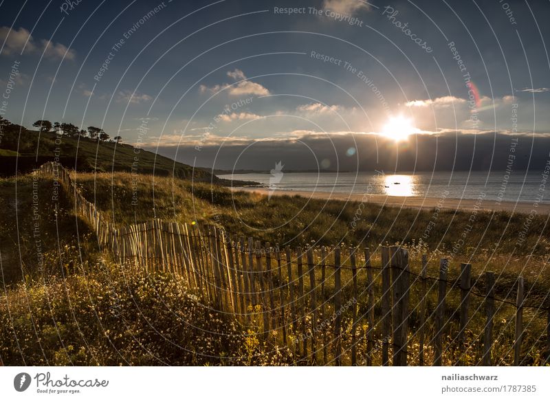 Sunset at the beach in Brittany Beach Ocean Landscape Horizon Summer Autumn Beautiful weather Plant Grass Coast Atlantic Ocean Fence Wooden fence Natural Moody