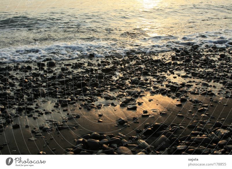 pebble on the beach Colour photo Exterior shot Morning Dawn Light Reflection Sunlight Environment Nature Elements Water Waves Coast Beach Ocean Wet Moody