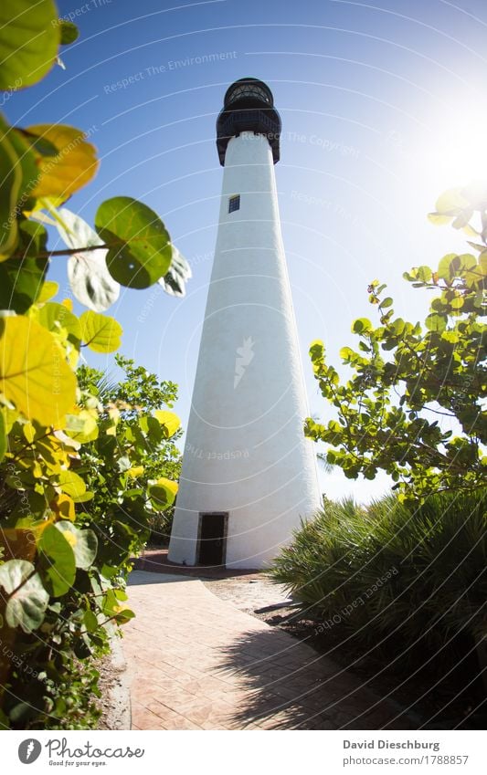 lighthouse Vacation & Travel Tourism Trip Far-off places Sightseeing Summer Summer vacation Ocean Island Landscape Cloudless sky Spring Beautiful weather Plant