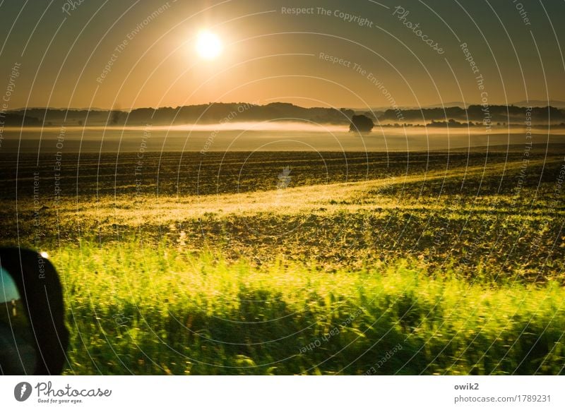 tour Environment Nature Landscape Plant Elements Earth Cloudless sky Horizon Autumn Climate Beautiful weather Fog Tree Grass Bushes Field Forest Motoring