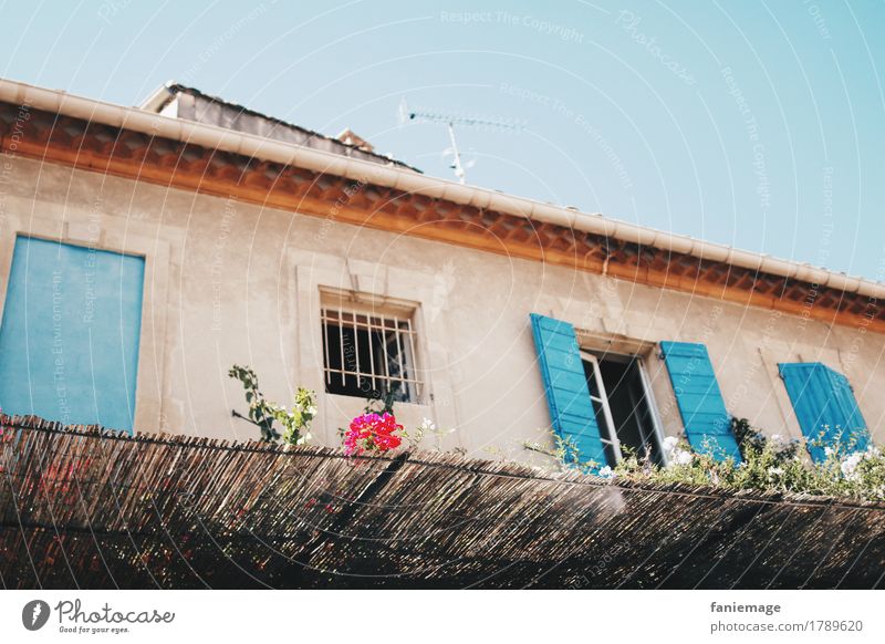 maison arlésienne Downtown Building Architecture Wall (barrier) Wall (building) Window Turquoise South Southern Southern Europe Arles Southern France