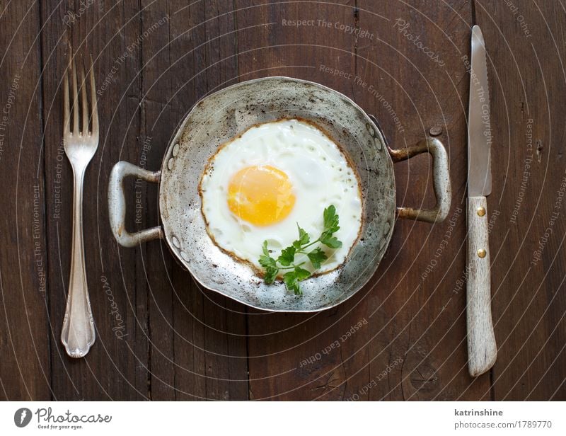 Fried egg in a old frying pan Herbs and spices Breakfast Pan Fresh White Cholesterol Eggshell Farm Frying fried egg Meal Protein Rustic Unhealthy vintage