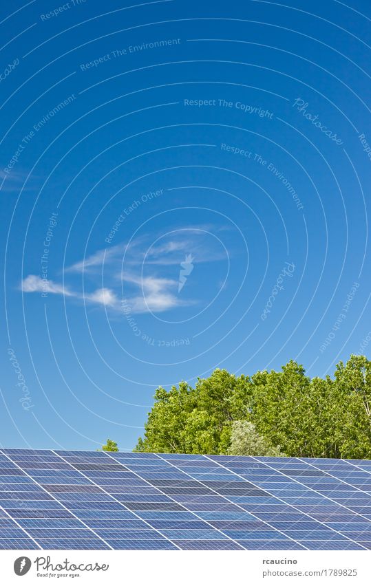 Photovoltaic panels in a solar power plant over a blue sky. Industry Solar Power Environment Sky Clouds Climate Natural Clean Blue Green Energy Alternative