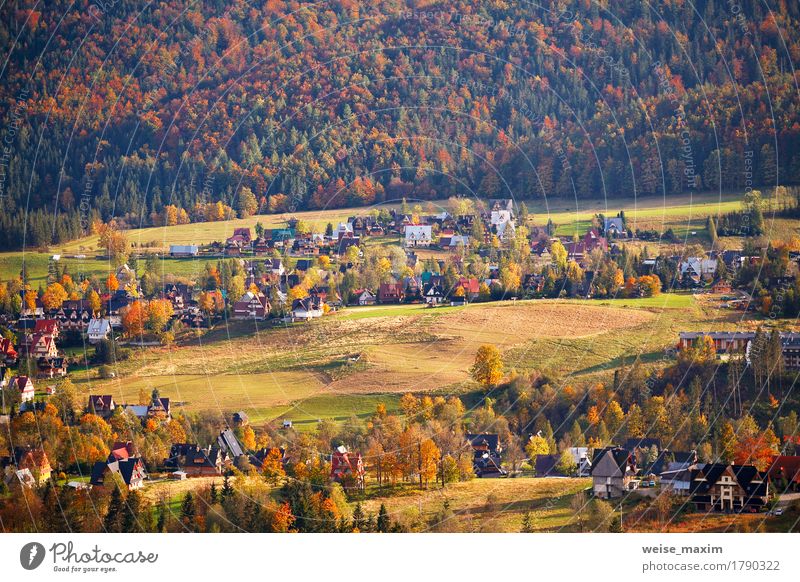 Sunny October day in Malopolska mountain village Vacation & Travel Tourism Mountain House (Residential Structure) Nature Landscape Plant Autumn Tree Grass