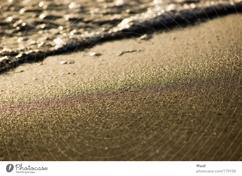 Sand & Beach Colour photo Exterior shot Morning Day Light Shallow depth of field Worm's-eye view Relaxation Calm Vacation & Travel Freedom Ocean Waves