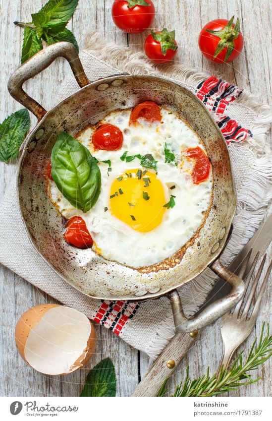 Fried egg with tomatoes and herbs Food Dairy Products Vegetable Breakfast Dinner Pan Wood Fresh Yellow Green Red animal egg Cholesterol Cooking Eggshell Farm