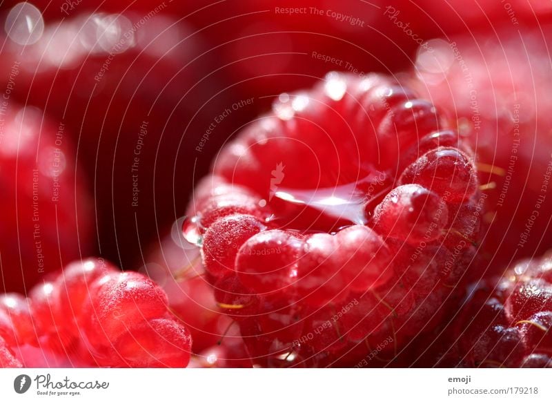 now it's raining raspberries Colour photo Exterior shot Close-up Detail Macro (Extreme close-up) Shallow depth of field Fruit Raspberry Nutrition