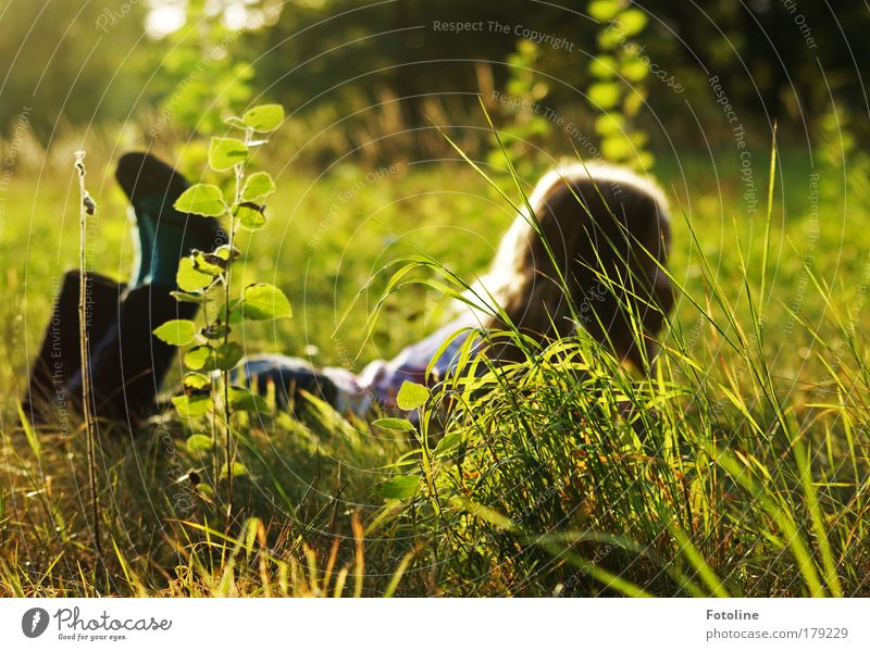 Dream of summer Colour photo Exterior shot Day Evening Light Silhouette Girl Hair and hairstyles Legs Feet Environment Nature Landscape Plant Earth Sun Sunlight