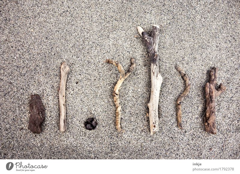 I'm sorry. I'm sorry. Sand Branch Twig Coast Beach Collection Super Still Life Simple Natural Brown Creativity Side by side Difference Grouped Parallel Arranged